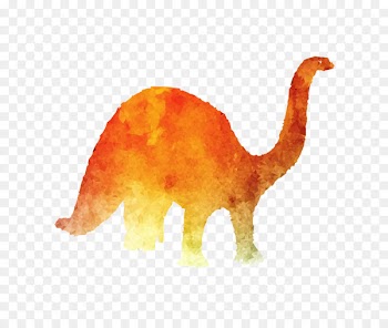 Organism Animal -  