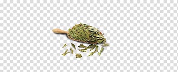 Organism Jewellery, Longjing tea leaves transparent background PNG clipart