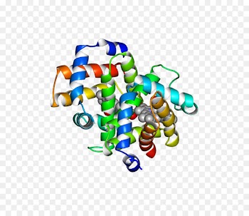Organism, Line, Bird Supply, Games PNG