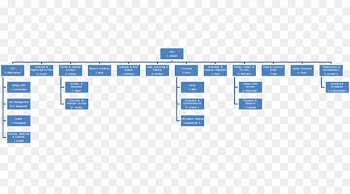 Organizational chart Diagram Infosys Organizational structure - chart 