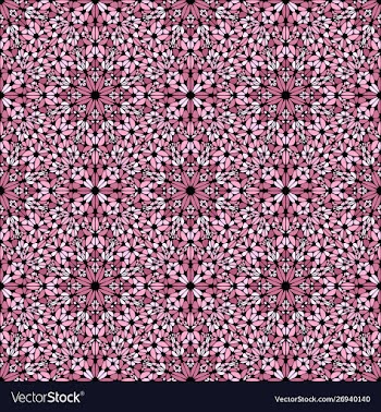 Oriental abstract floral kaleidoscope petal vector image