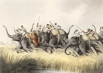 Oriental field sports (1807) print | Free Photo Illustration - rawpixel