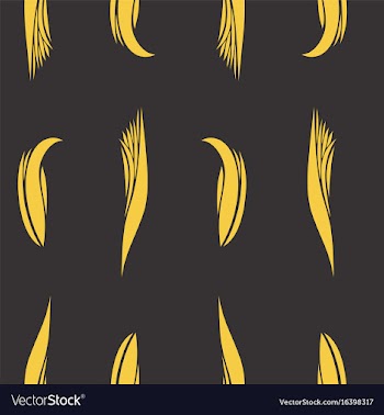 Oriental pattern vector image