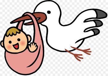 Oriental Stork, Toyooka, Pregnancy, Cartoon, Bird PNG