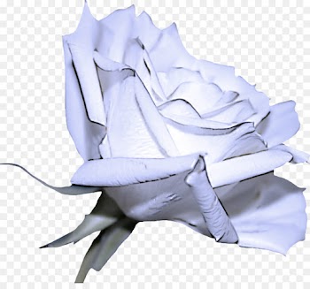 Origami