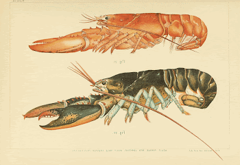 Original public domain from The | Free Photo - rawpixel