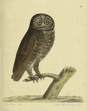 Original public domain image from Biodiversity | Free Photo - rawpixel