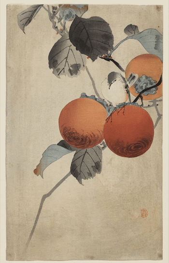 Original public domain image from Biodiversity | Free Photo - rawpixel