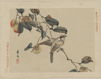 Original public domain image from the Library | Free Photo - rawpixel