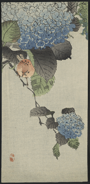 Original public domain image from the Library | Free Photo - rawpixel