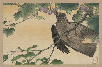 Original public domain image from the Library | Free Photo - rawpixel