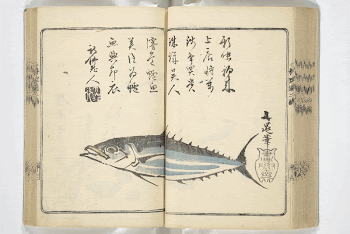 Original public domain image from the MET | Free Photo - rawpixel