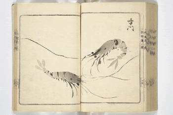 Original public domain image from the MET | Free Photo - rawpixel
