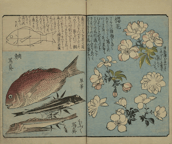 Original public domain image from the MET | Free Photo - rawpixel