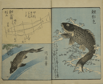 Original public domain image from the MET | Free Photo - rawpixel