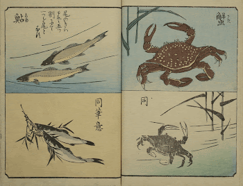 Original public domain image from the MET | Free Photo - rawpixel