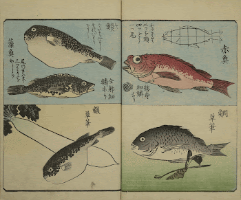 Original public domain image from the MET | Free Photo - rawpixel