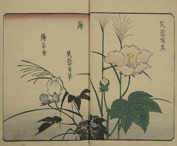 Original public domain image from the MET | Free Photo - rawpixel
