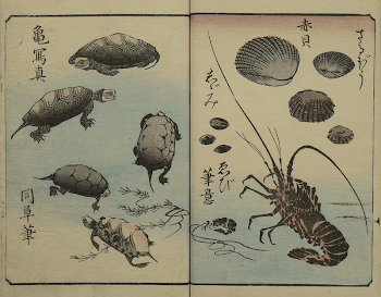 Original public domain image from the MET | Free Photo - rawpixel
