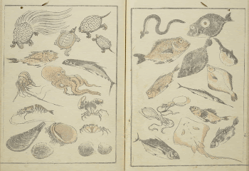 Original public domain image from the MET | Free Photo - rawpixel