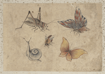 Original public domain image from the MET | Free Photo - rawpixel