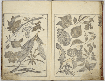 Original public domain image from the MET | Free Photo - rawpixel