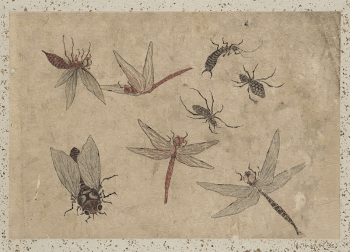 Original public domain image from the MET | Free Photo - rawpixel