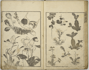Original public domain image from the MET | Free Photo - rawpixel