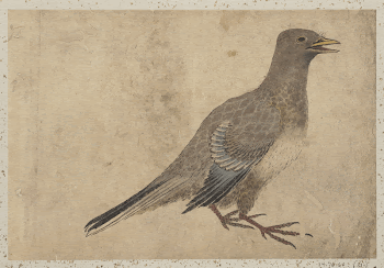 Original public domain image from the MET | Free Photo - rawpixel