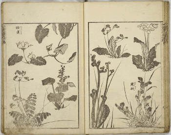 Original public domain image from the MET | Free Photo - rawpixel