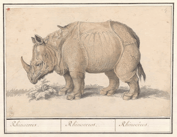 Original public domain image from the Rijksmuseum. | Free Photo - rawpixel