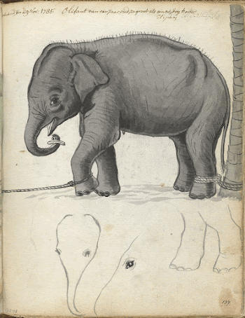 Original public domain image from the Rijksmuseum. | Free Photo - rawpixel