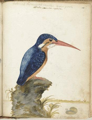 Original public domain image from the Rijksmuseum. | Free Photo - rawpixel