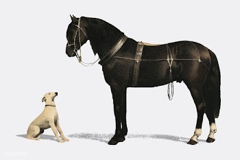 Orloffer (Orloff Horse) by Emil Volkers (1880.. | Free stock vector - 471621