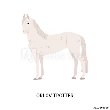 Orlov trotter horse breeding flat vector illustration