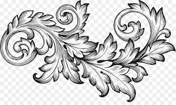 Ornament Scroll Engraving Acanthus - baroque 