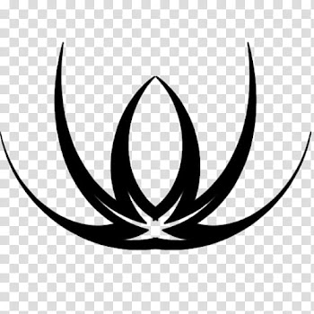 Ornamental design, black curve lines transparent background PNG clipart