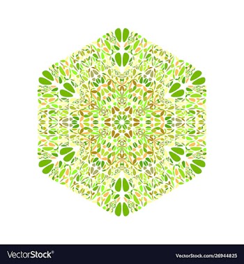 Ornate colorful abstract flower hexagon logo vector image