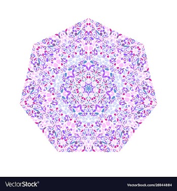 Ornate colorful abstract geometrical floral vector image
