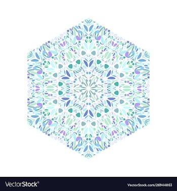 Ornate colorful geometrical floral ornament vector image