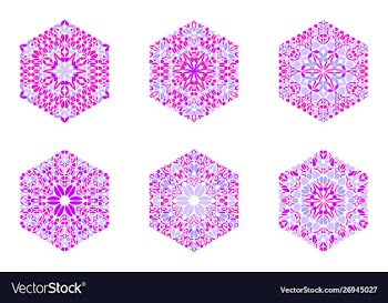 Ornate colorful geometrical flower hexagon vector image