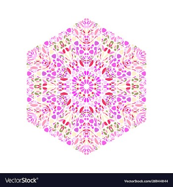 Ornate geometrical abstract flower ornament vector image