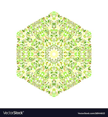 Ornate geometrical colorful floral mosaic hexagon vector image