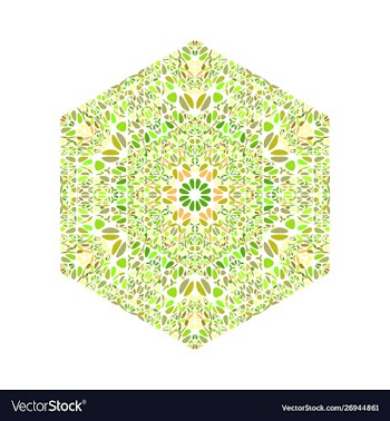 Ornate geometrical colorful floral ornament vector image