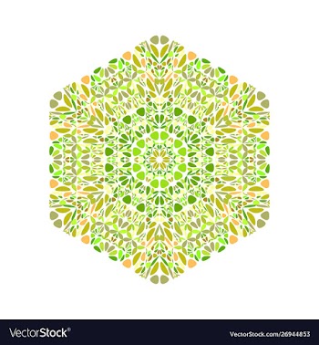 Ornate geometrical isolated abstract floral vector image