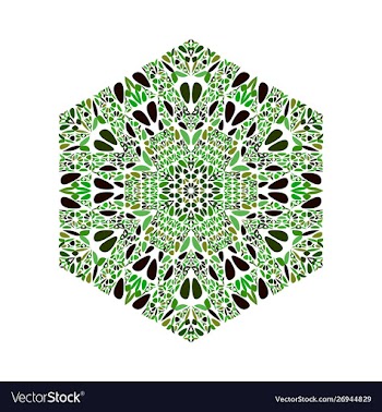 Ornate isolated abstract floral ornament hexagon vector image