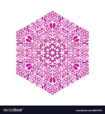 Ornate isolated abstract flower ornament hexagon vector image