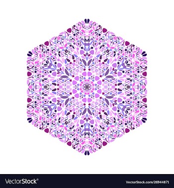 Ornate isolated geometrical floral ornament vector image