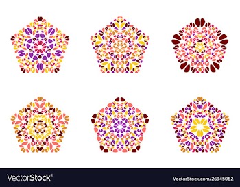 Ornate isolated geometrical petal pentagon vector image