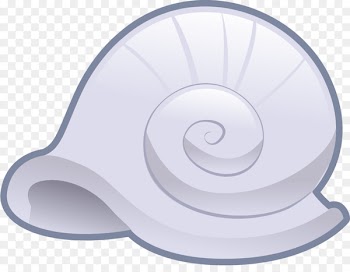 Orthogastropoda Euclidean vector Icon - Hand painted gray snail shell 
